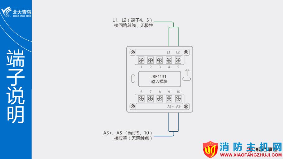 JBF4131模块端子说明